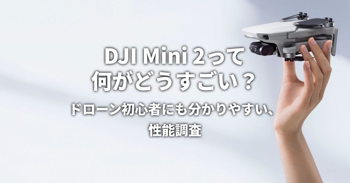 DJI Mini 2って何がどうすごい？ – ドローン初心者にも分かりやすい、性能調査 –