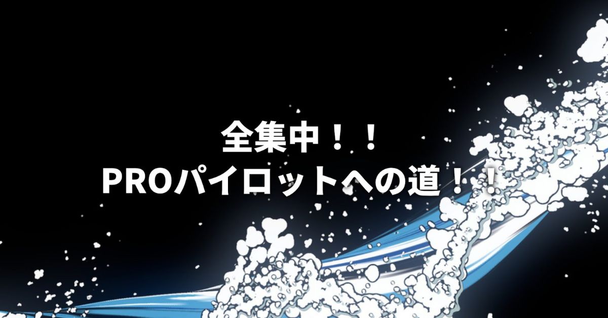 全集中！！PROパイロットへの道！！