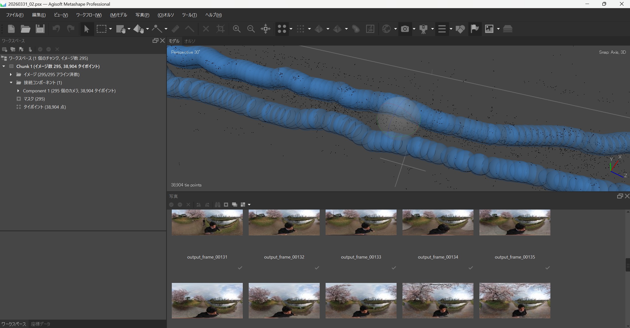 Agisoft Metashape Professional の処理結果画面