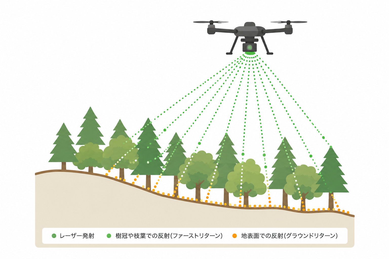 レーザー測量のイメージ図。レーザーが植生の隙間を通って地表面に到達する様子